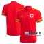 22Fuball: Wales Heimtrikot Herren Em 2020 2021