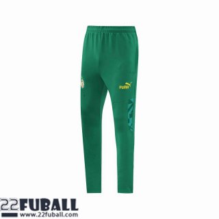 Jogginghose Senegal Grün Herren 22 23 P223